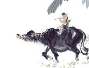 牧童归去横牛背的下一句 牧童归去横牛背出处