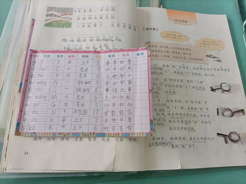 小学生一类生字和二类生字的区别，四年级一类生字和二类生字的区别