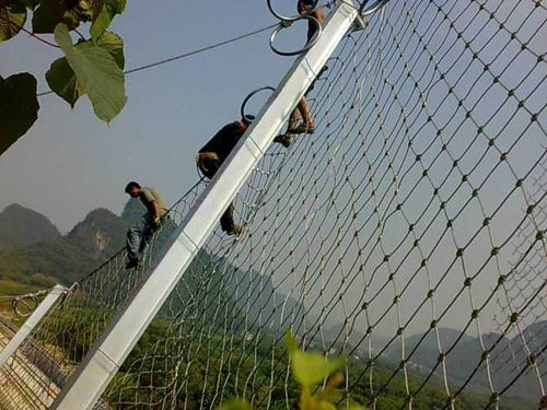 绞刑是怎么执行的 了解绞刑的具体执行过程?