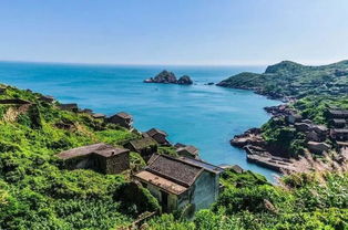 山岛电动自行车有几种型号