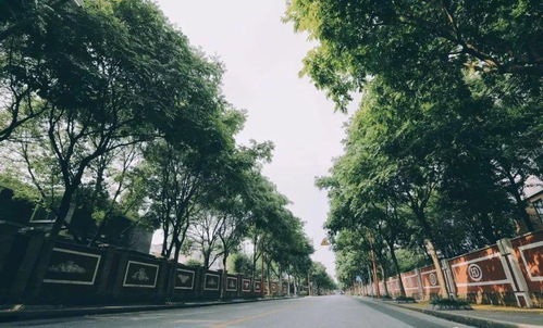 波路梦，波路壮阔