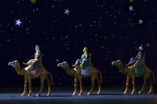 马戏团用英语怎么说?