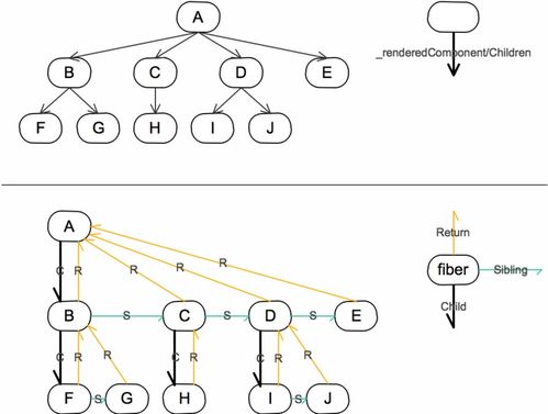 fiber是什么意思
