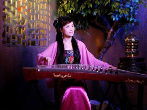 沉醉于风中歌词 沉醉于风中歌词介绍