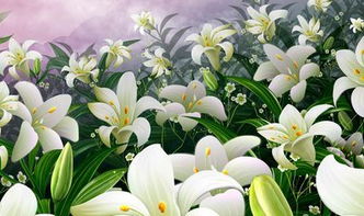 《心田上的百合花》告诉我们什么?