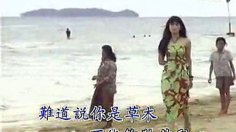 负心的人歌曲原唱