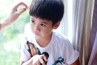 jagger名字寓意，jagger英文名寓意