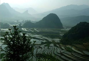 九疑山赋，九疑山赋原文