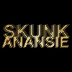 trash是什么意思啊?