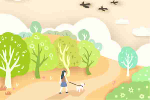 淇字五行属什么，琪字五行属什么行