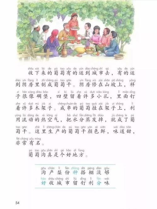 葡萄沟课文原文