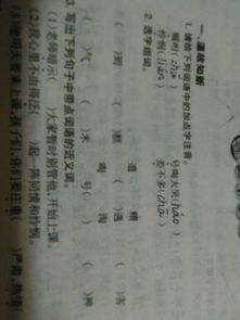 枫的组词有哪些?