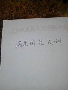 消失的近义词