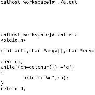 getchar用法例子，getchar和gets的区别