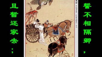 孔雀东南飞朗读视频播放，孔雀东南飞朗读节奏停顿