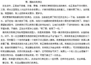 浓浓的亲情作文500字