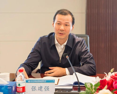 聂磊大战张建强是哪一集