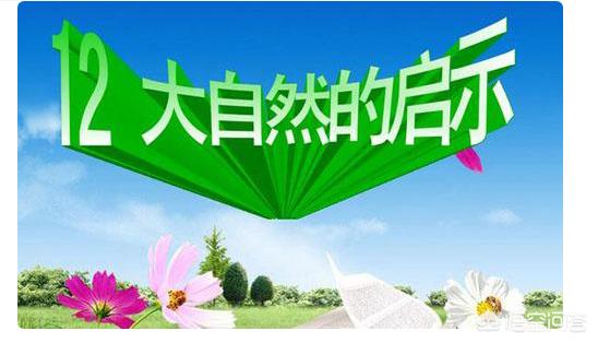 大自然给我们的启示仿写，大自然给我们的启示有哪些蜜蜂