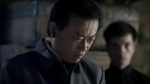 阶下囚是什么意思?阶下囚成语造句和典故