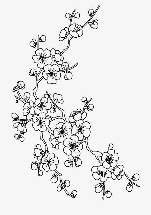 梅花简笔画古风，梅花简笔画图片带颜色