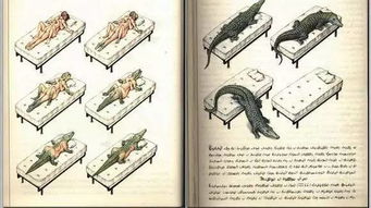 除了作者谁都看不懂的一本书上面大部分是千奇百怪的画和自创的文字_百