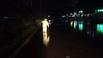 歌词里有昨夜的昨夜是什么歌