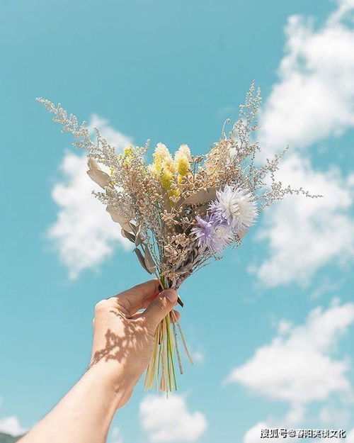 表示对生活充满希望和信心的句子