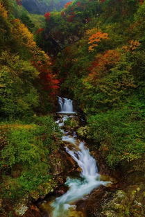 “在山泉水清,出山泉水浊。 ”是什么意思?