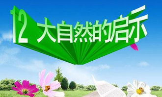 大自然给了我们什么启示