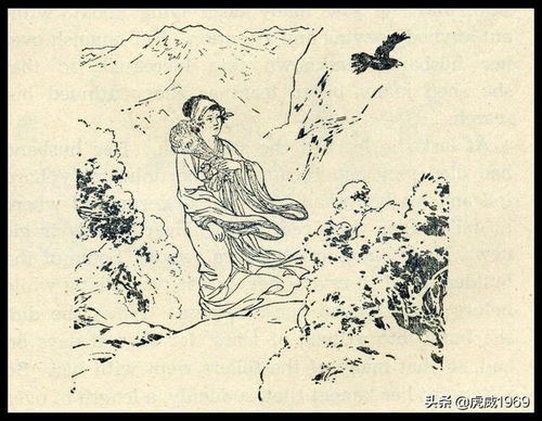 东郭先生是什么意思