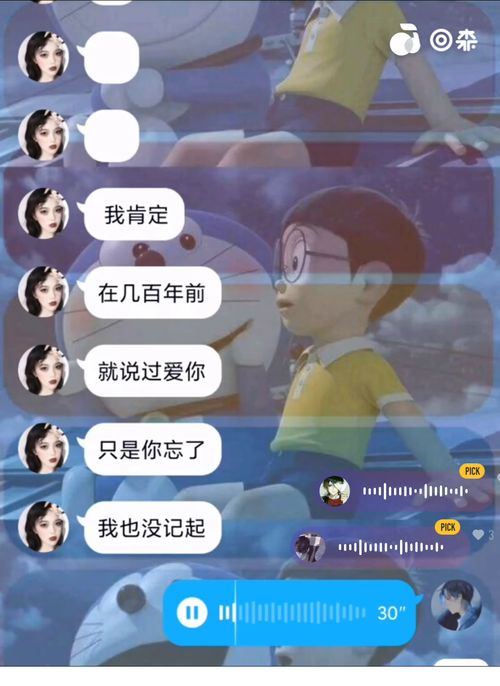 见谅是什么意思