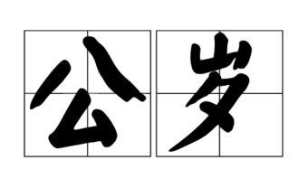 公岁是几岁，公岁母岁是什么意思