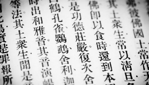 以命字开头的成语有哪些