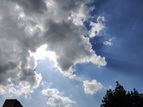 天空造句一年级简单，天空造句简单一点的