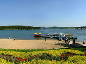 肥东天气预报15天查询百度，肥东天气预报7天查询