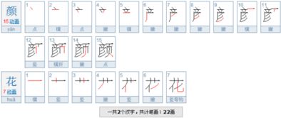 花的笔顺笔画顺序表