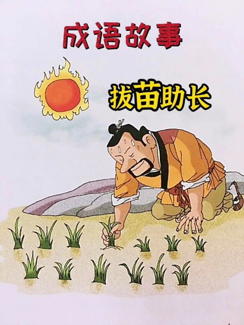 拔成语开头，寨成语接龙