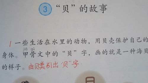 贝的部首是什么?