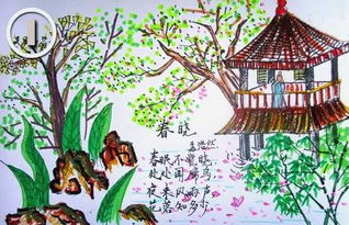 春晓图片大全 配图，古诗春晓图片