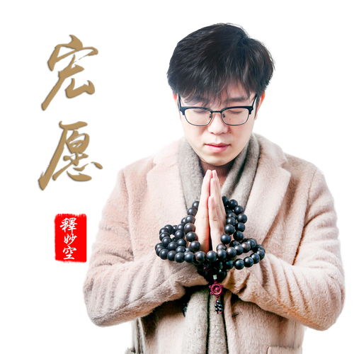 宏愿歌词表达什么意思，宏愿歌词表达了什么感情