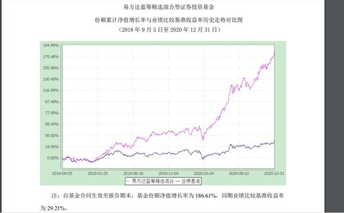 什么是蓝筹股基金?