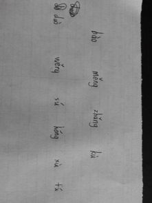 涓可以组什么词