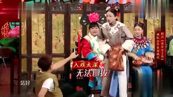 白头宫女在闲坐说玄宗的意思，白头宫女在 闲话说玄宗