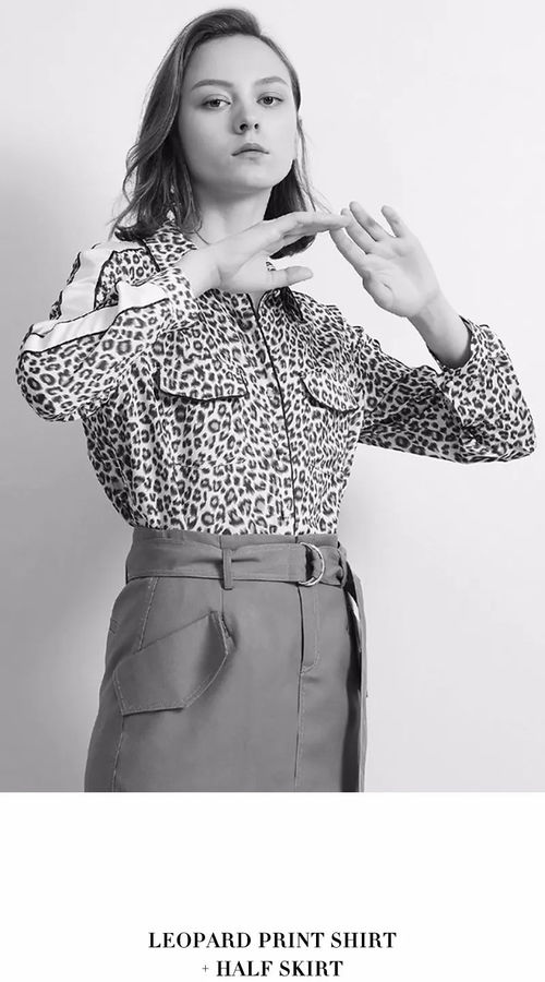 花豹图片，花豹突击队全文免费阅读全文原文