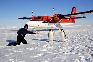 南极洲主要有哪些国家