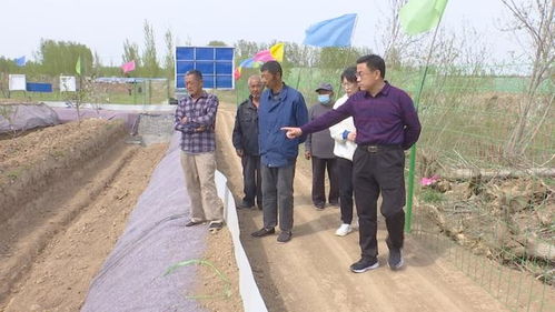 阜城天气预报24小时详情，阜城天气预报24小时