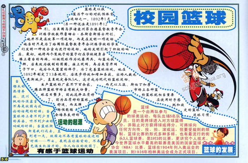 篮球体育小报手抄报 体育手抄报