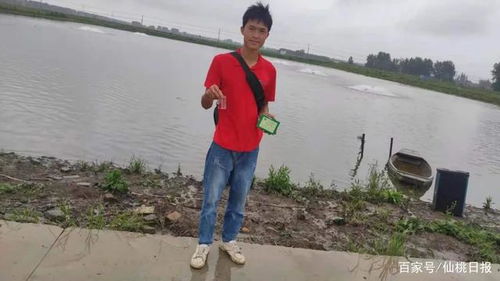 达字取名男孩有寓意属马最搭的名字有哪些?