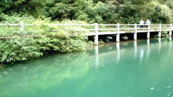 碧潭酒业有限公司，碧潭酒