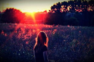 什么是意境的含义?